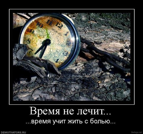 y 93c09078.jpg