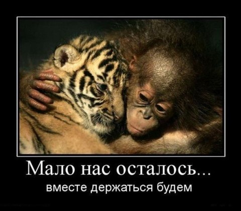 s3img 27262430 2653 1.jpg