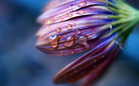 ComputerDesktopWallpapersCollection1373 027.jpg