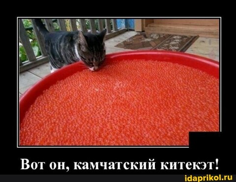 F9F08D31-C1C7-4C46-8B22-F6375C5593EF.jpg