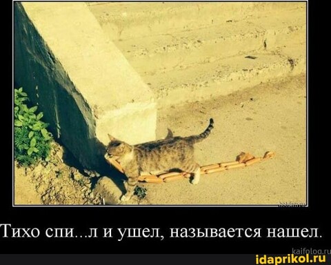 95dd791a-d04f-4ae1-a55d-2df9e382f2b7.jpg
