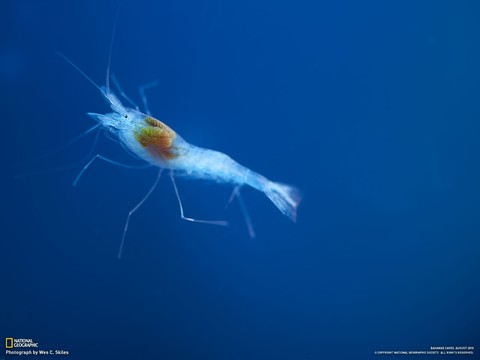 aug10wallpaper_20_1600.jpg