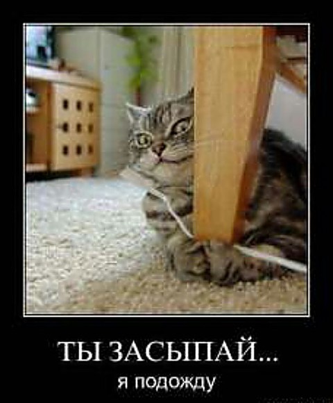 д.jpg