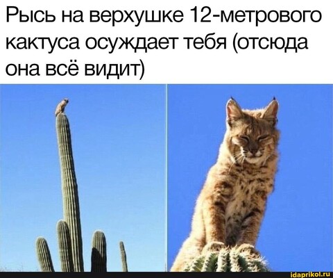 7765ad02-41e0-4630-83d5-8d656b03fa8c.jpg