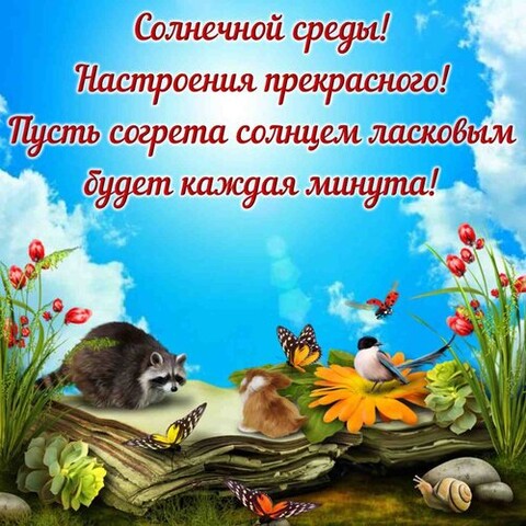 Среда.jpg