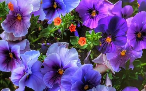 image (96).jpg