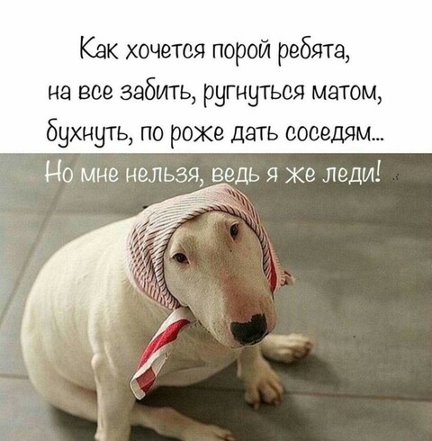 177e3fe088e53c1dbf38cccfe1b1b5ad.jpg