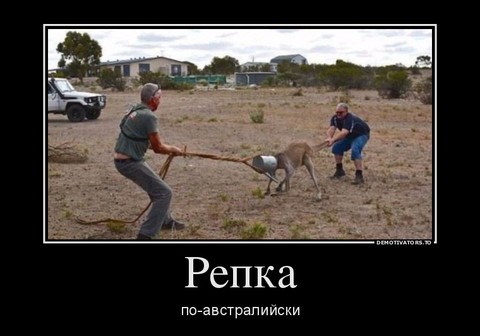 д.jpg