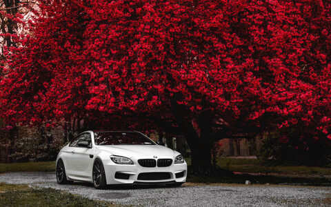 BMW BMW F13 M6 бмв.jpg