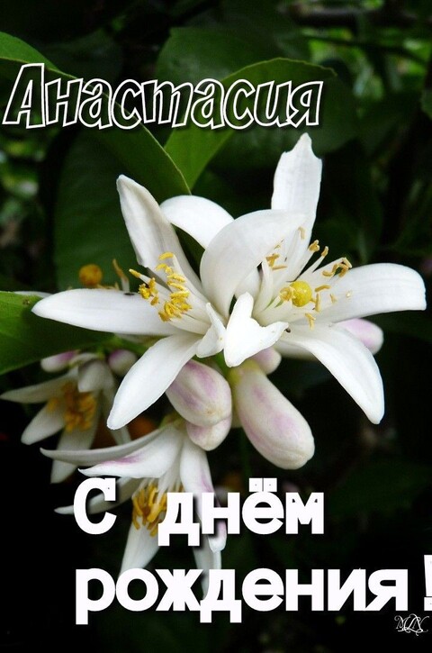 dcbf2a1ae2da24d6ce6ed732ee2d7d65.jpg