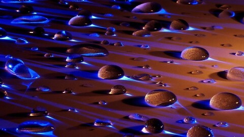 22ee0a74c1ad630.jpg