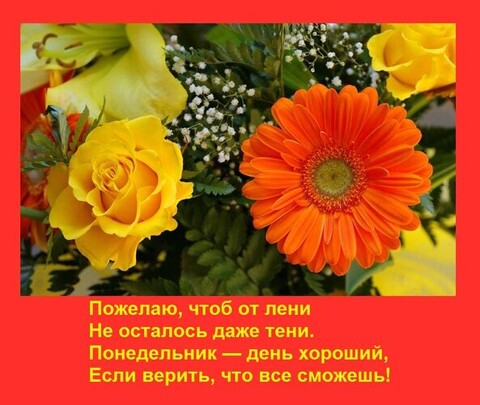 ПОНЕДЕЛЬНИК.jpg