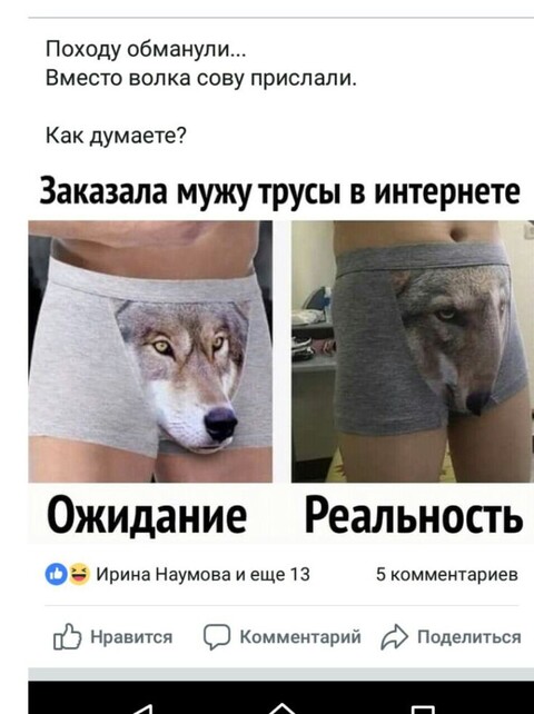 3b92b8c17f551648547313d0f5323d01.jpg