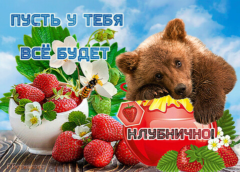 image (16).png