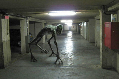3467745.jpg