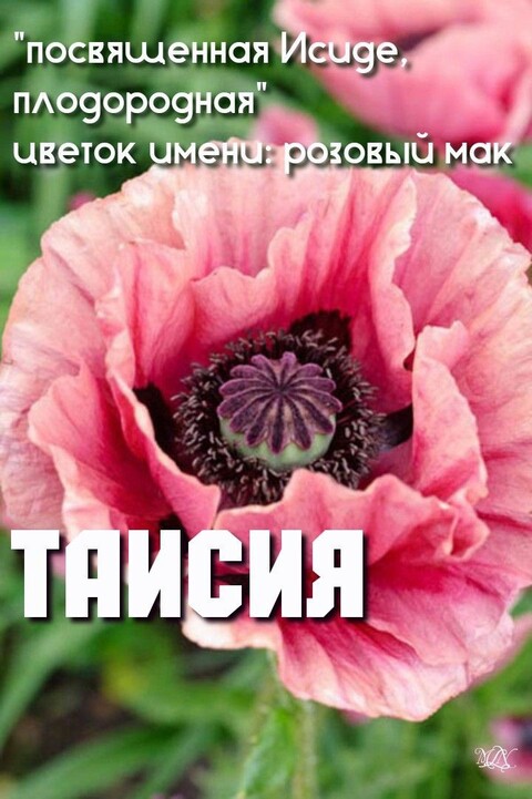 1c82f1858dff3bea026aedc1e4cb8caa.jpg