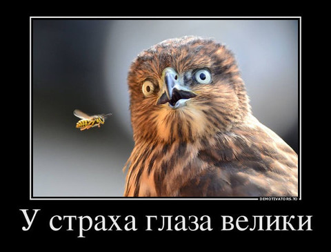 демо 24.jpg