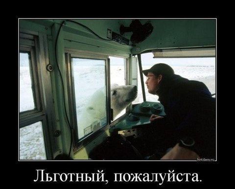 0740.jpg