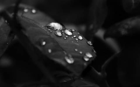 75697_344.jpg