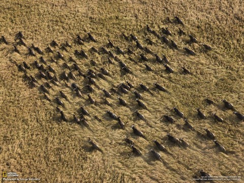 nov10wallpaper_3_1600.jpg