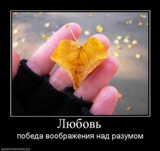 71375350446961d70cd8d0.jpg