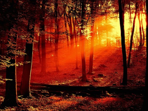 landscape_48.jpg