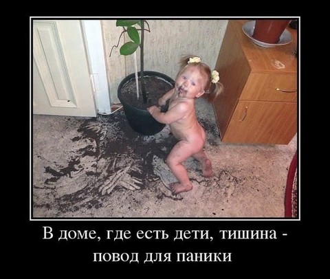 04.jpg
