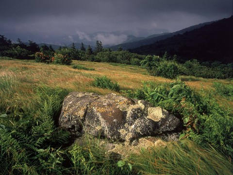 landscape_68.jpg