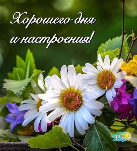 Хорошего Дня и Настроения !.jpg