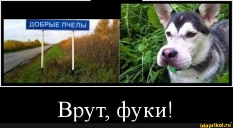 53F5BB91-3802-4EB6-9A6D-A63270BA1B4B.jpg
