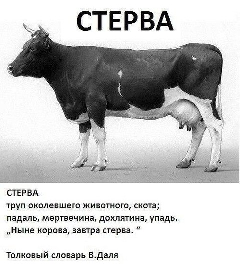 UCdH1QHKrOI.jpg
