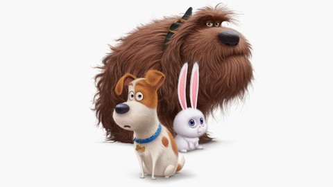 the-secret-life-of-pets-max.jpg