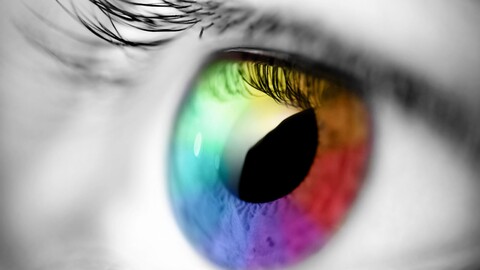 rainbow-1661979620823-4212.jpg