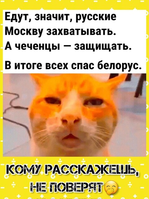 01e22885-5b55-44ba-91ad-c032b36bfbbb.jpg