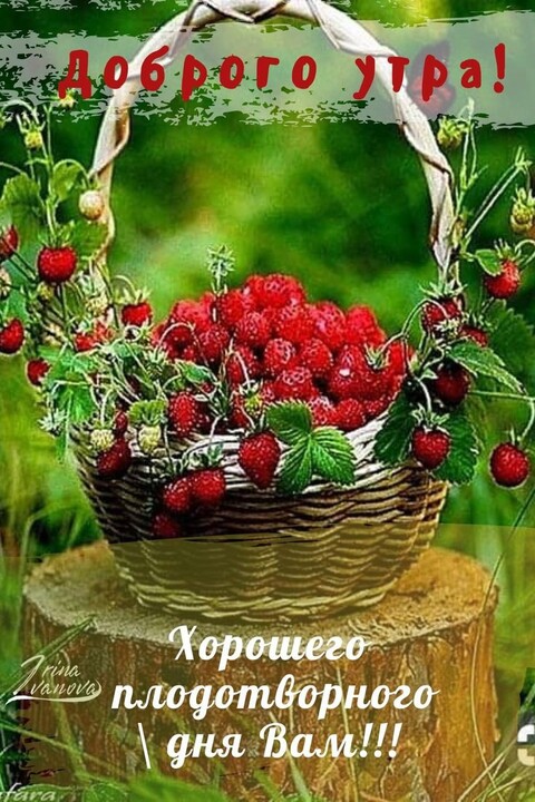 8ce389314c35fa92eb172c83cac8f058.jpg