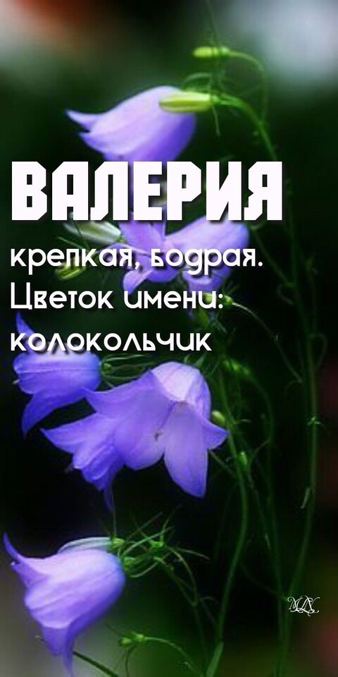 916a0f779d42575a2328c686090a2421.jpg
