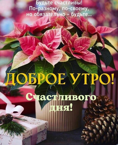 Доброе утро.jpg