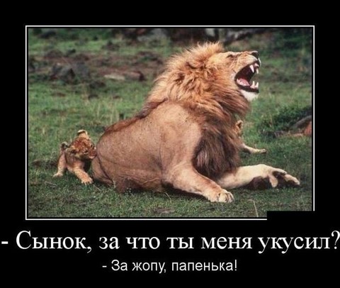 д м.jpg