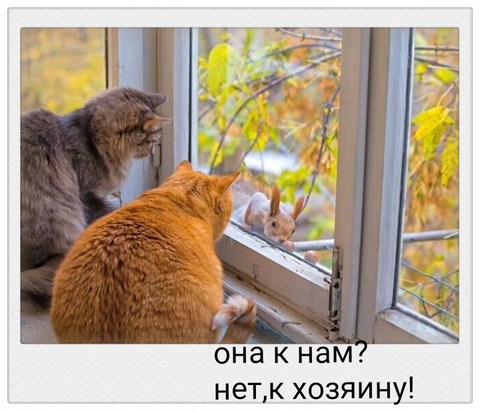 45012.png