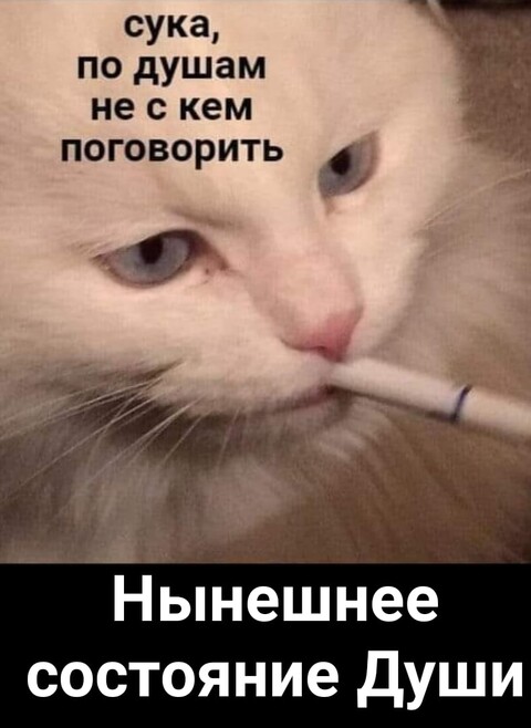 1602551377902.jpg