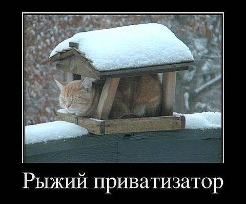 image(1).jpg