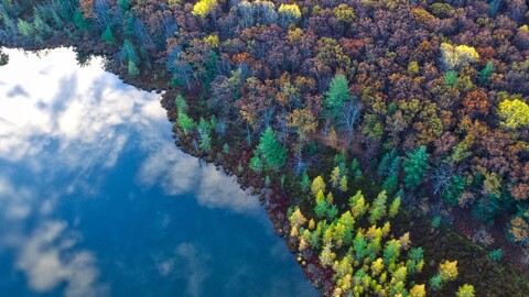 aerial-view-from-top-trees-4k-1i-3840x2160.jpg