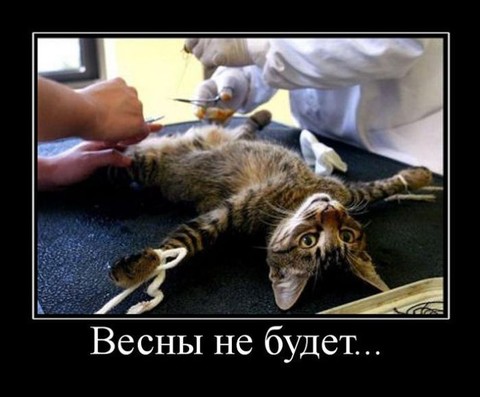 IMG-20170301-WA0033.jpg