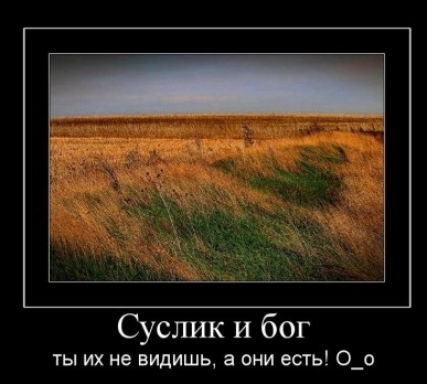20180411 090813.jpg