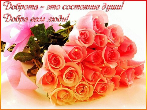 Доброта.jpg