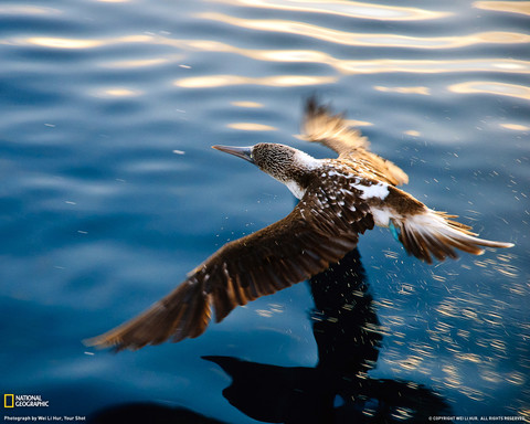 28383_1280x1024_wallpaper_cb1289253108.jpg
