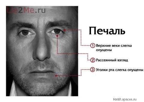 spaces ru 2712842-spaces ru.jpg