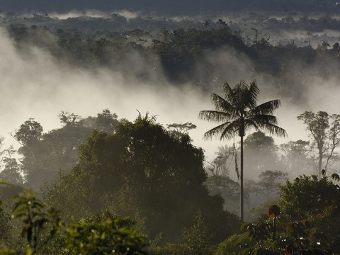 landscape_18.jpg