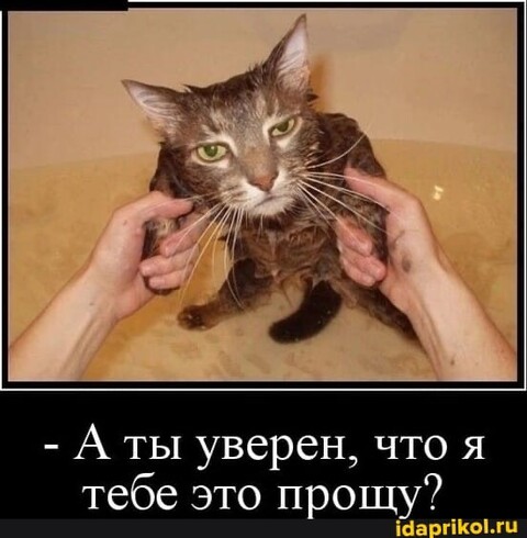 5f30a4d3-4484-429e-9661-d6afa58dce16.jpg
