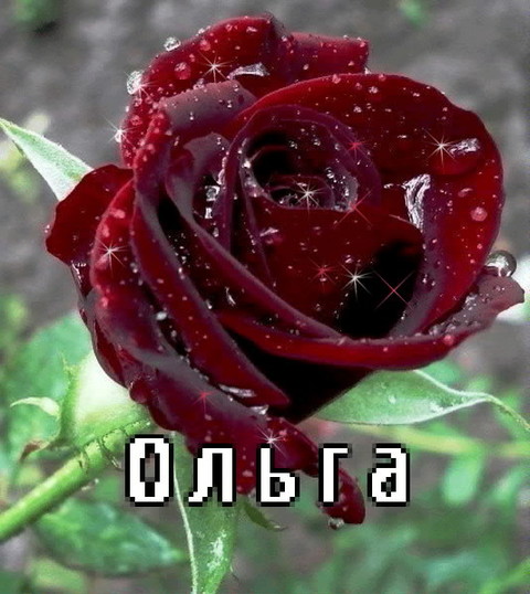 О л ь г а.jpg